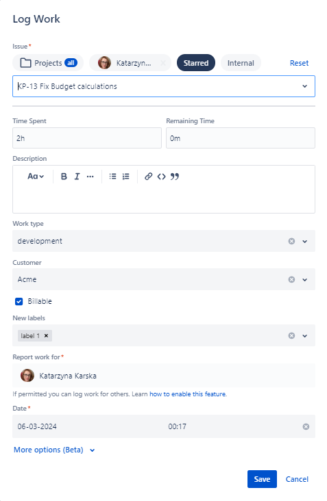 Log work filters.png